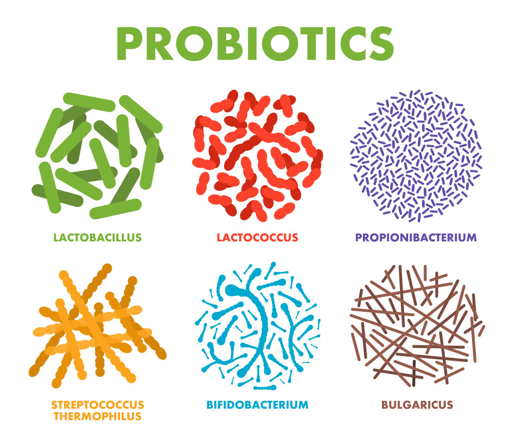 Probiotics for rabbits hotsell