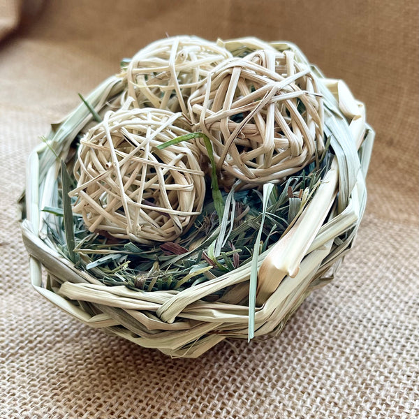 LIMITED EDITION! Bird's Nest
