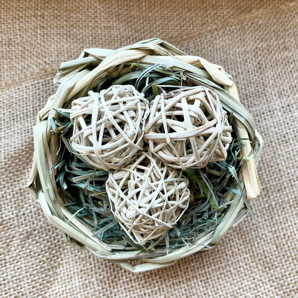 LIMITED EDITION! Bird's Nest