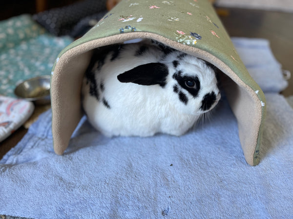 NEW! Hop n' Hide Tunnel