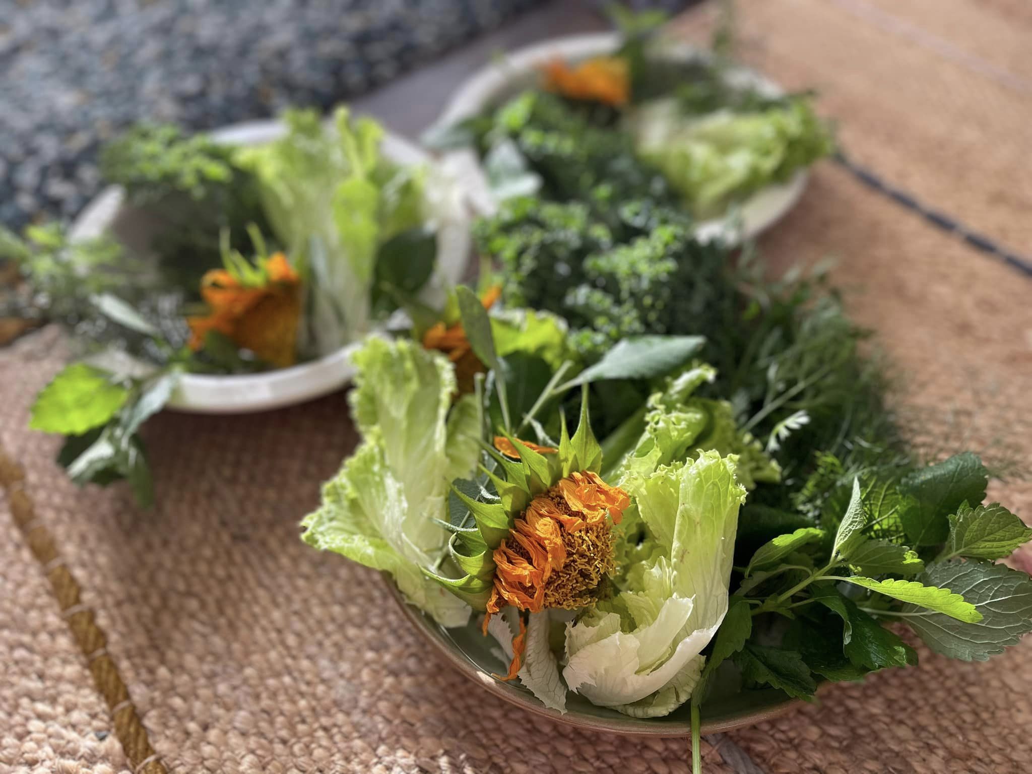 Fresh Farm Greens CSA (LOCALS ONLY)