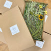 Meadow Harvest Mix - Limited Edition Seasonal Special!