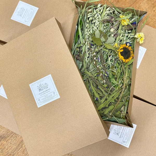 Meadow Harvest Mix - Limited Edition Seasonal Special!