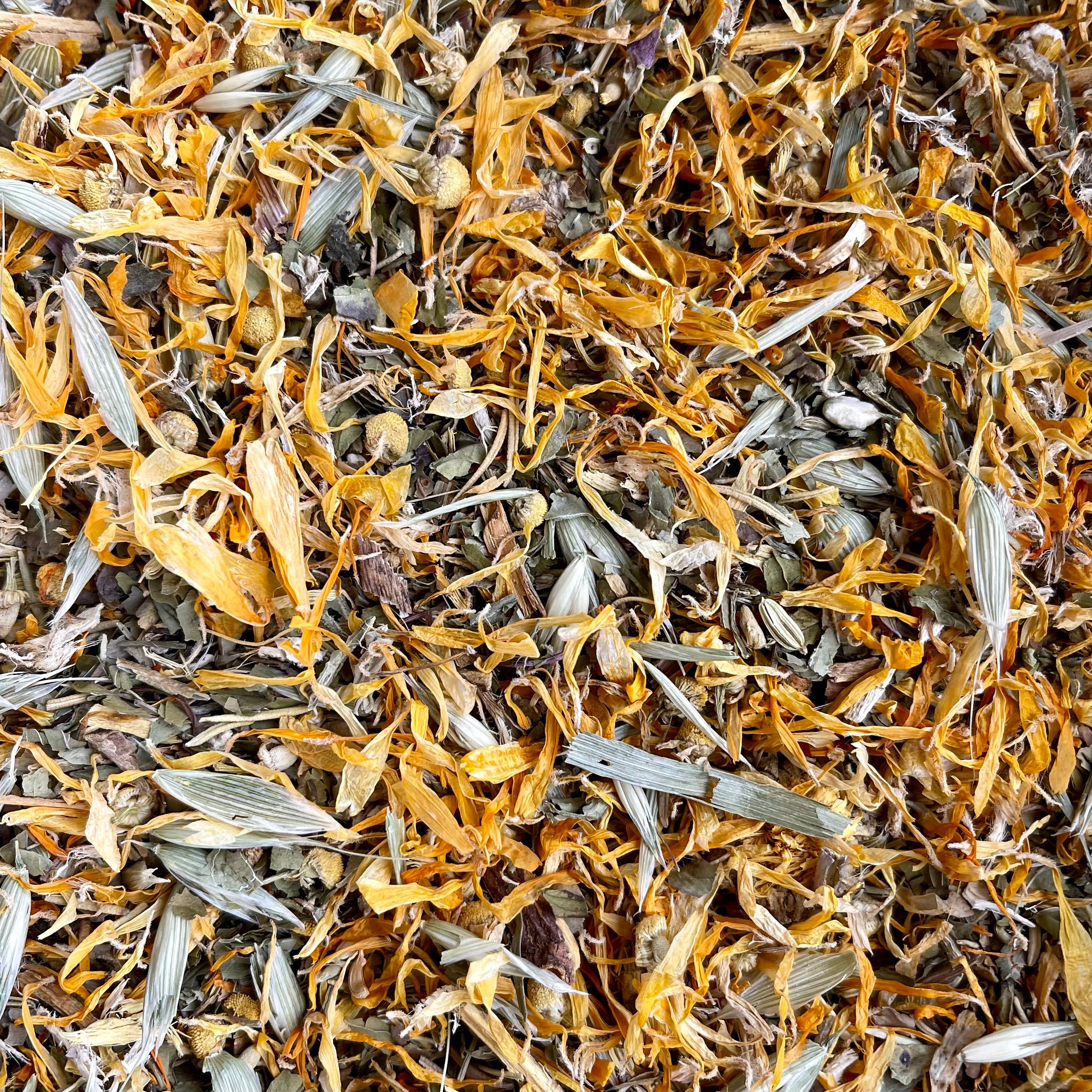 Digest Herbal Forage