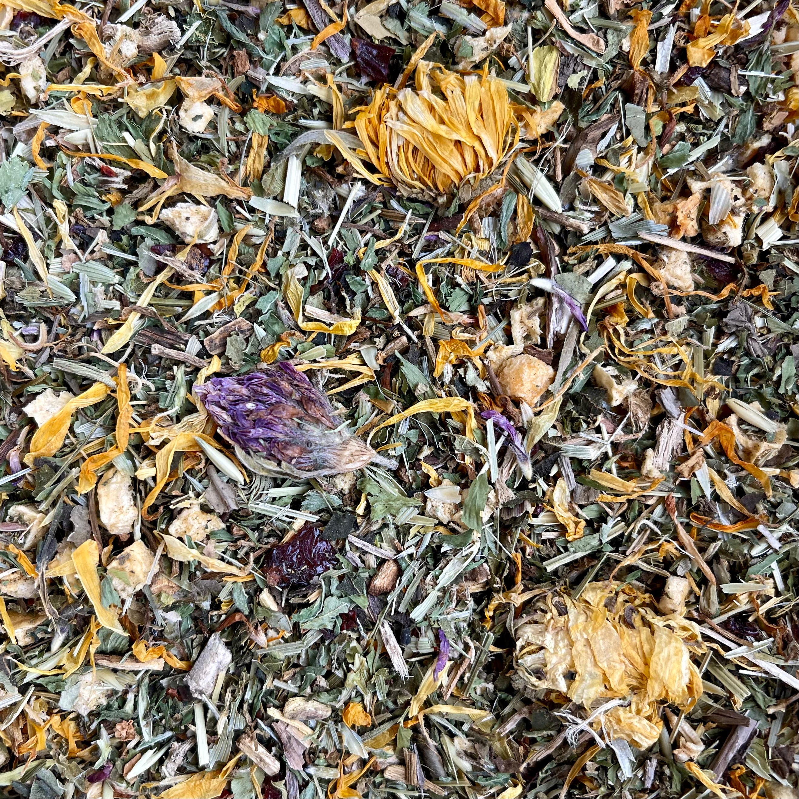 Molt Herbal Forage