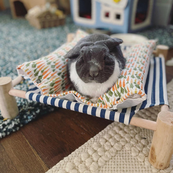 Cuddle Cot - Full Set