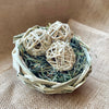 LIMITED EDITION! Bird's Nest