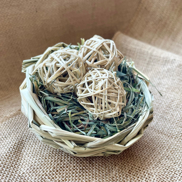 LIMITED EDITION! Bird's Nest