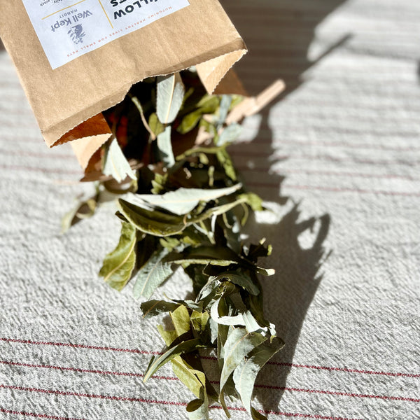 Willow Leaves