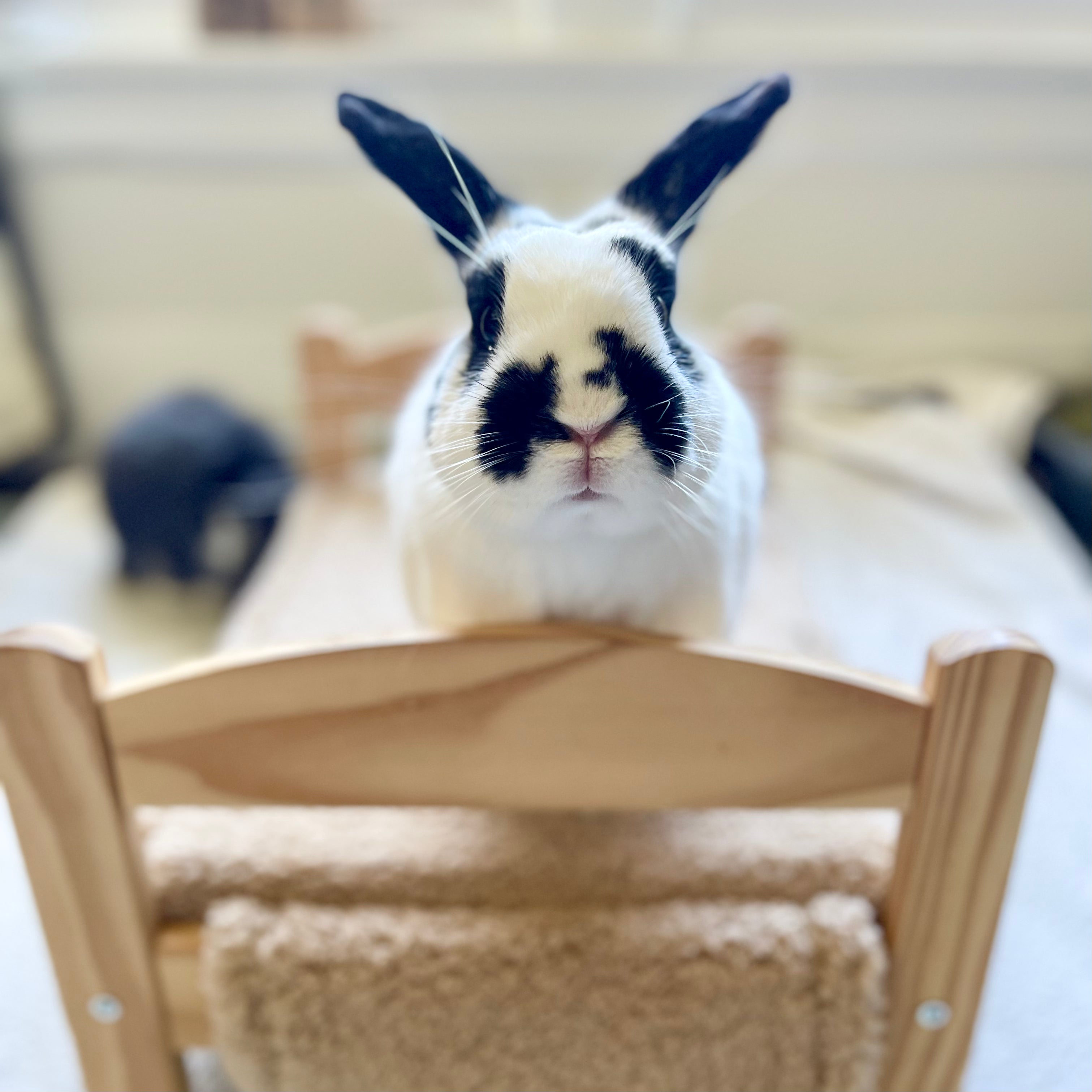 Bedding Set for IKEA Bunny Bed