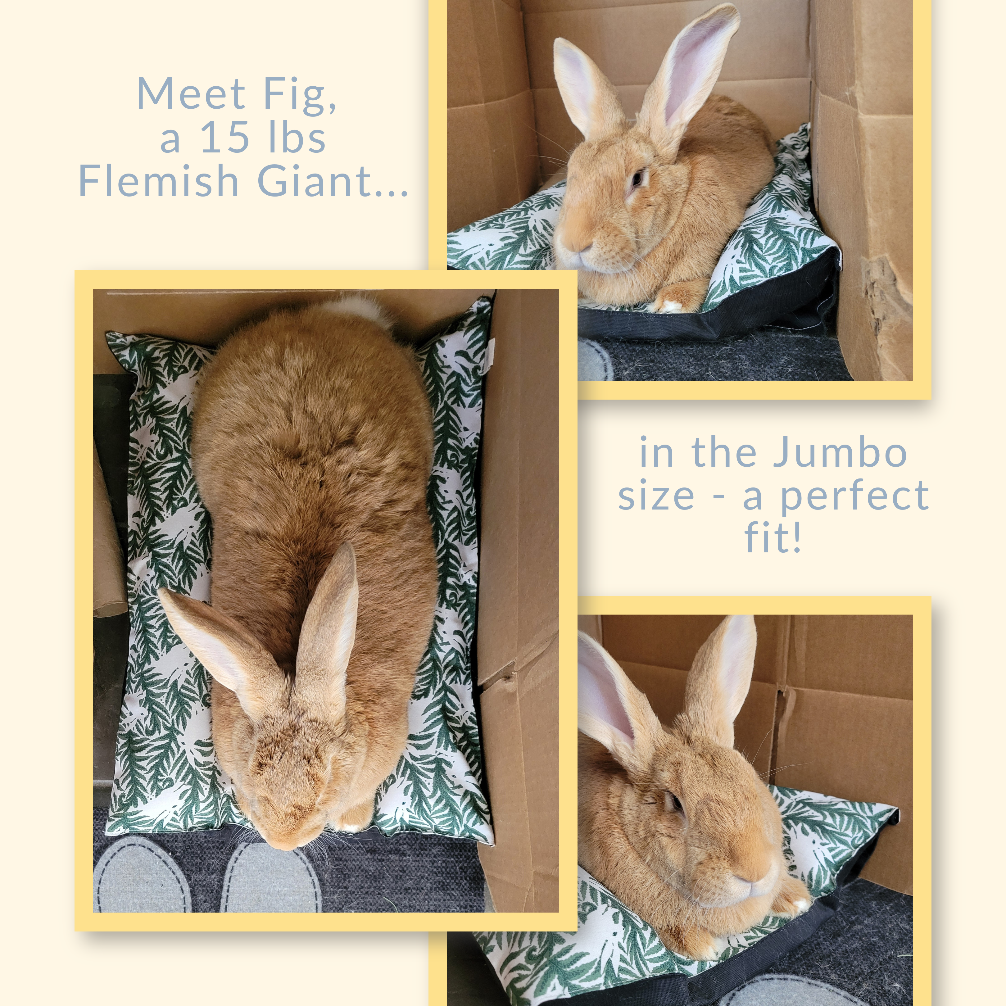 Hop n' Flop Bed – Full Set (Cushion + Cover)