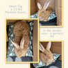 Hop n' Flop Bed – Full Set (Cushion + Cover)