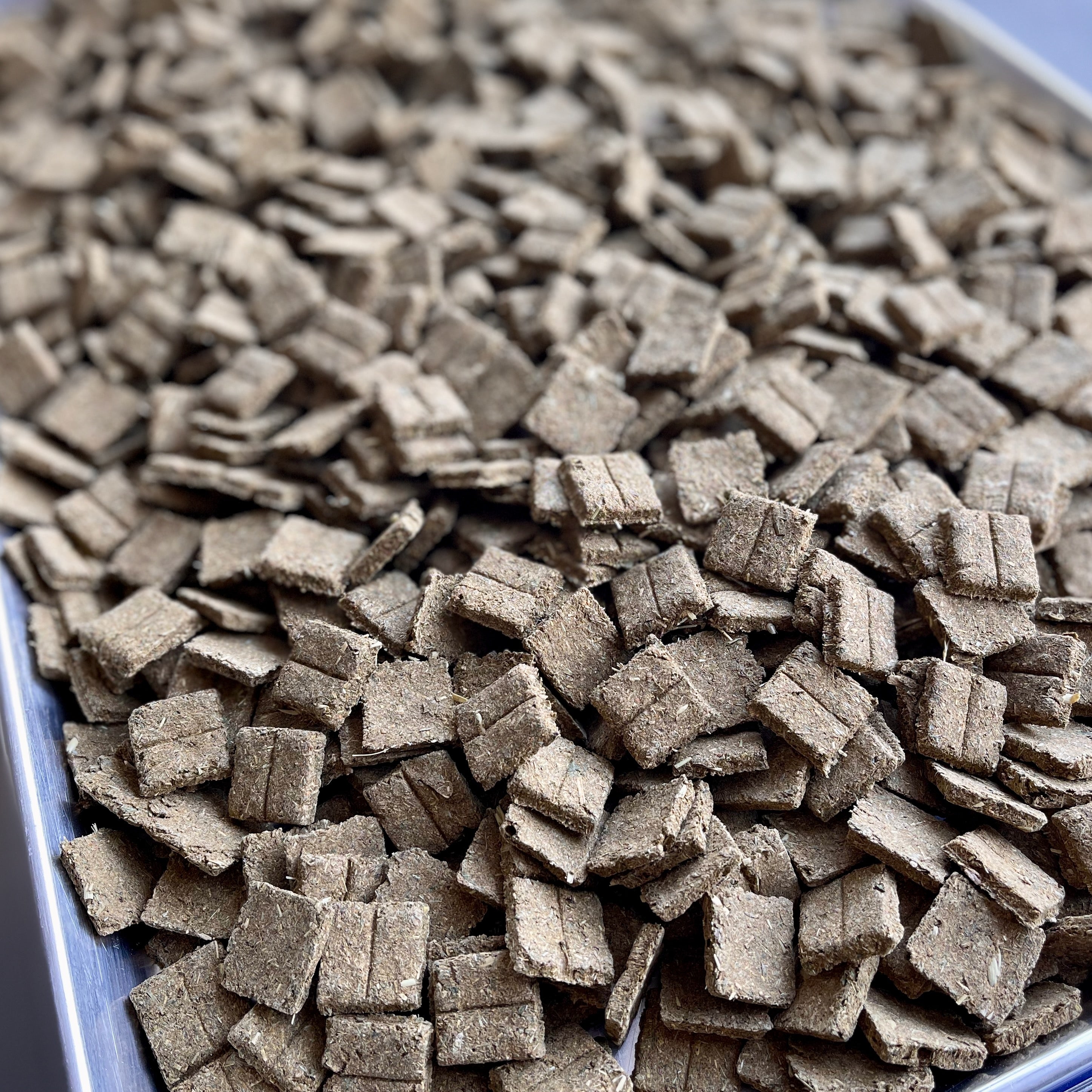 Delilah's Megacolon Tablets