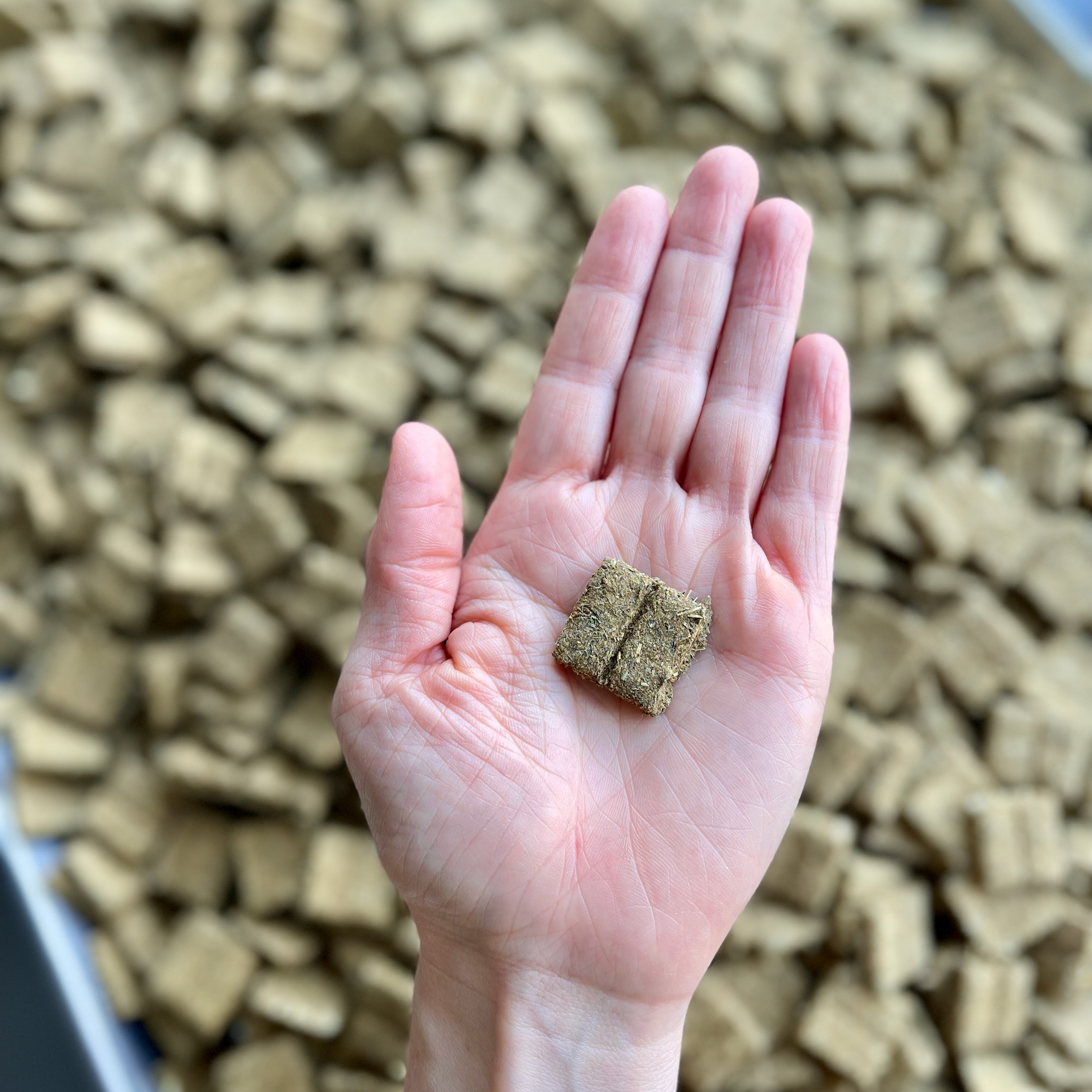 Delilah's Megacolon Tablets