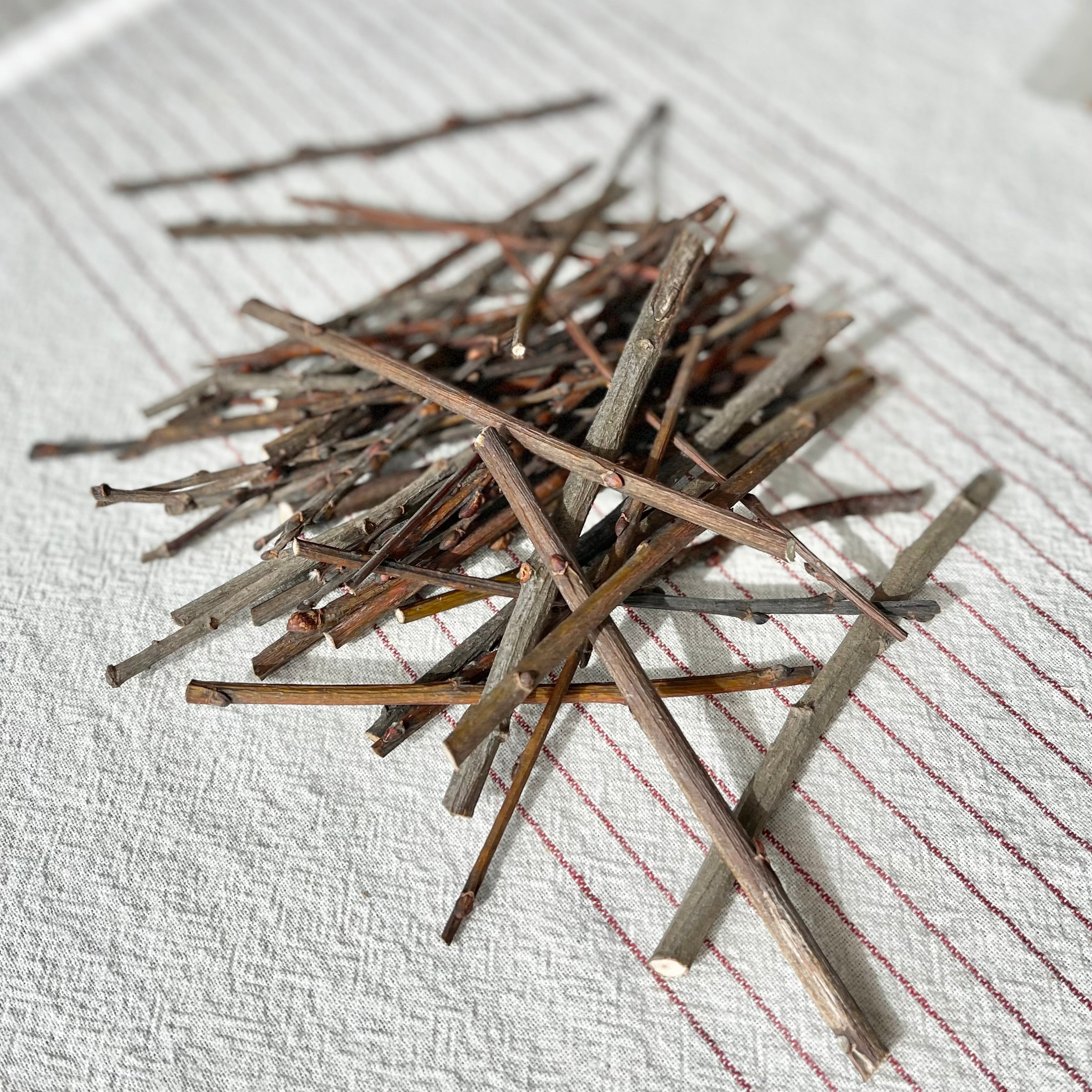 Wild Foraged Willow Chew Stix