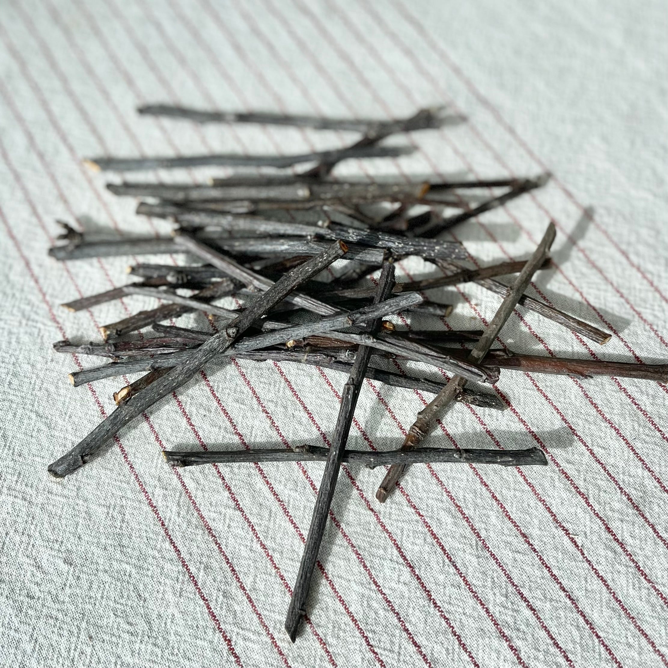 Wild Foraged Apple Chew Stix