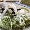 Fresh Farm Greens CSA (LOCALS ONLY)