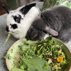 Fresh Farm Greens CSA (LOCALS ONLY)