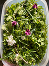 Fresh Farm Greens CSA (LOCALS ONLY)