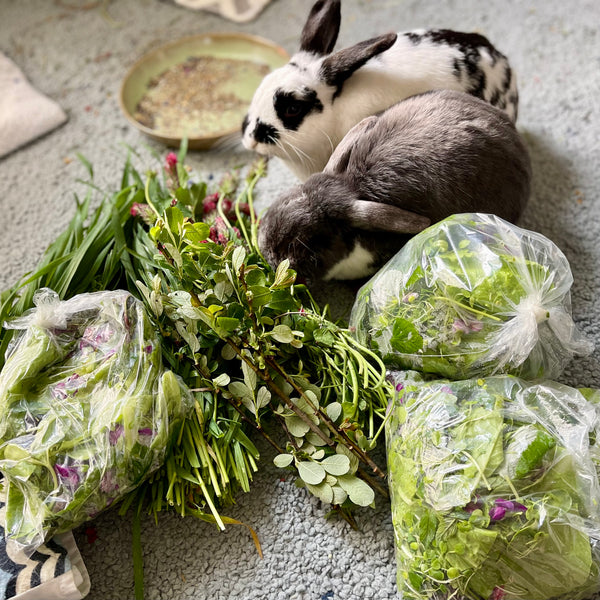 Fresh Farm Greens (LOCALS ONLY)