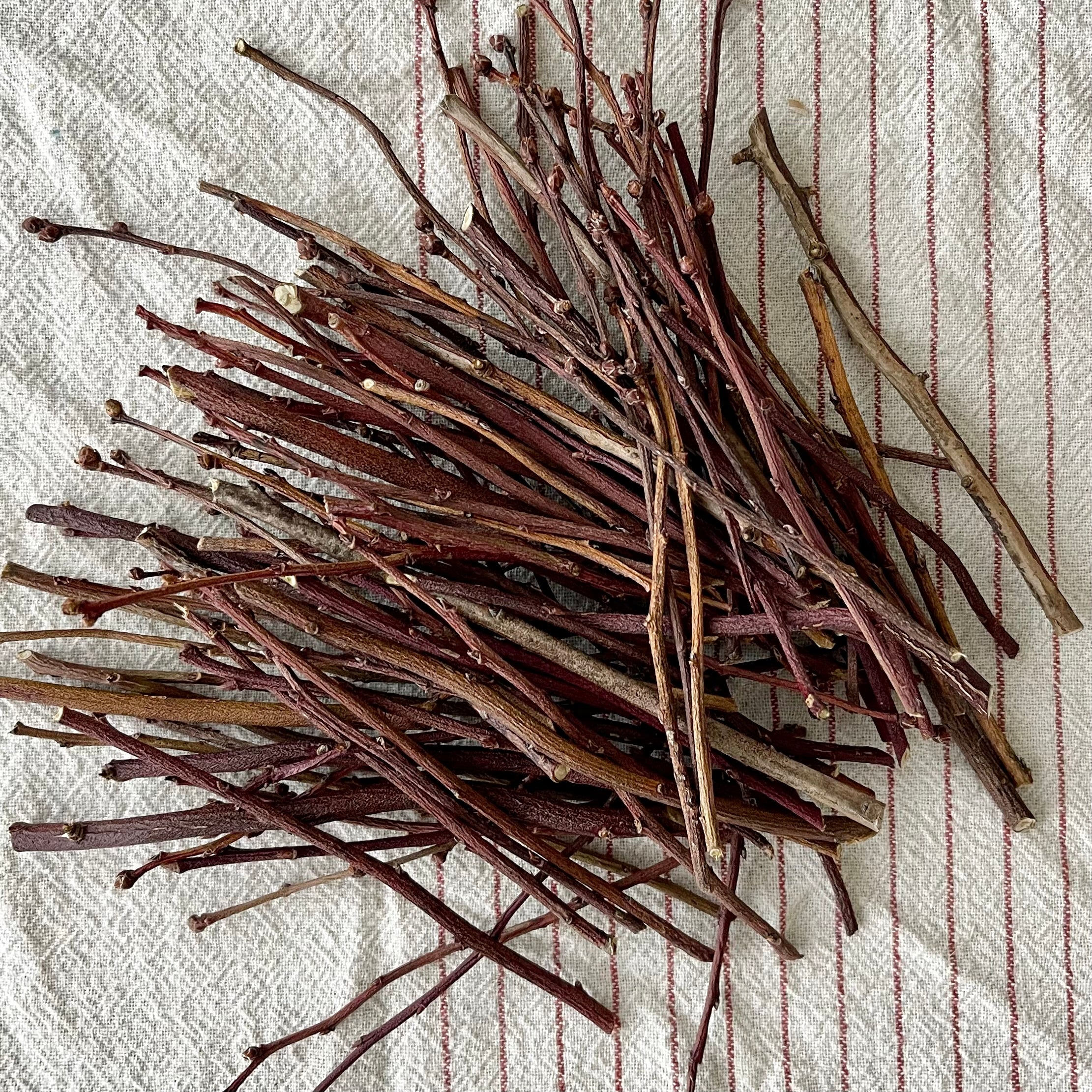 NEW! Blueberry Chew Stix