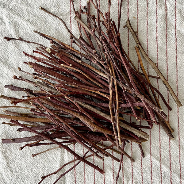 NEW! Blueberry Chew Stix
