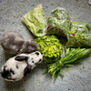 Fresh Farm Greens (LOCALS ONLY)