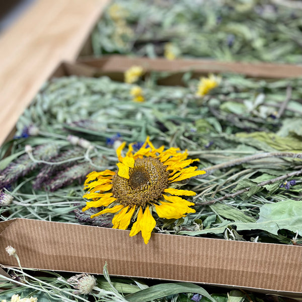 Meadow Harvest Mix - Limited Edition Seasonal Special!