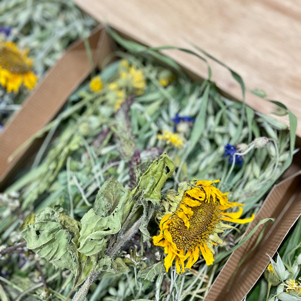 Meadow Harvest Mix - Limited Edition Seasonal Special!