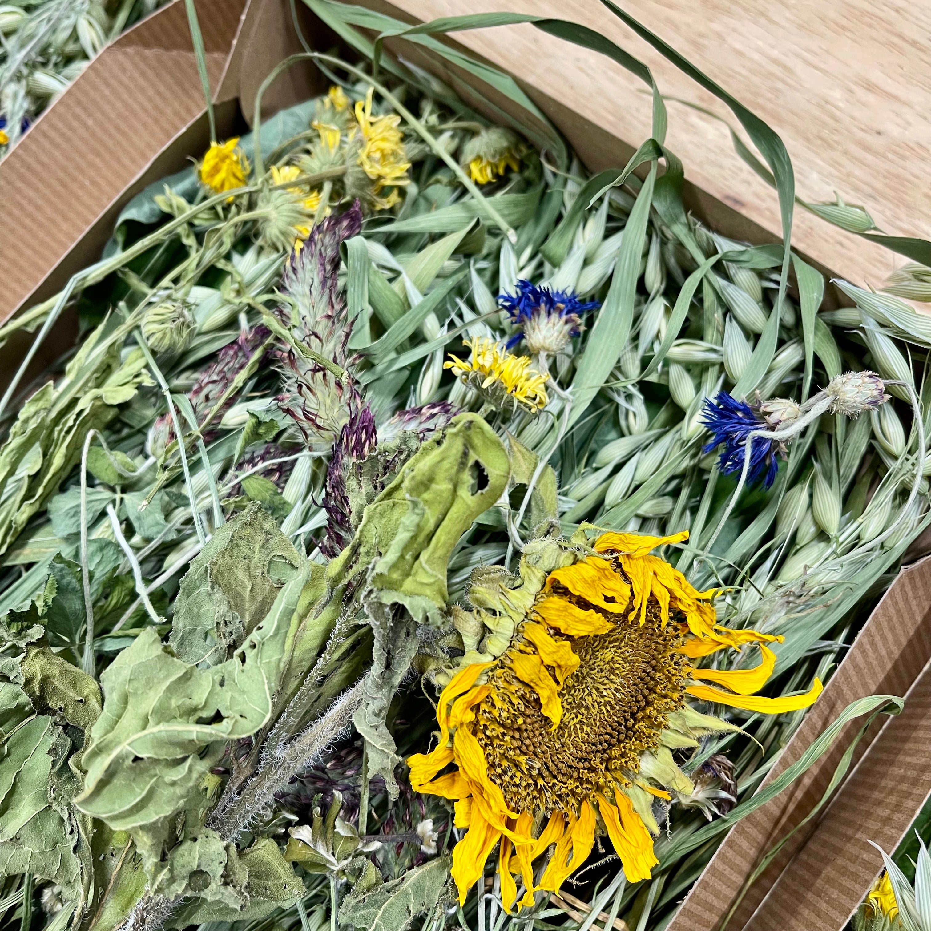 Meadow Harvest Mix - Limited Edition Seasonal Special!