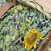 Meadow Harvest Mix - Limited Edition Seasonal Special!