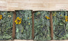 Meadow Harvest Mix - Limited Edition Seasonal Special!