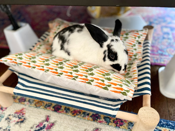 Cuddle Cot - Full Set