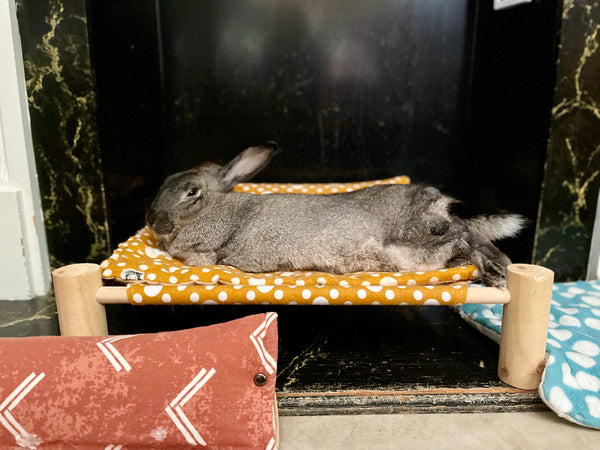 Cuddle Cot - Full Set