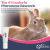 SecureBunny™ Adventure Cream