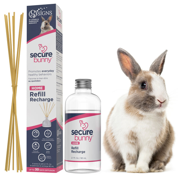 SecureBunny™ Home Diffuser Refill Kit