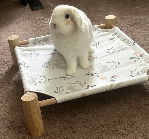 Cuddle Cot - Full Set