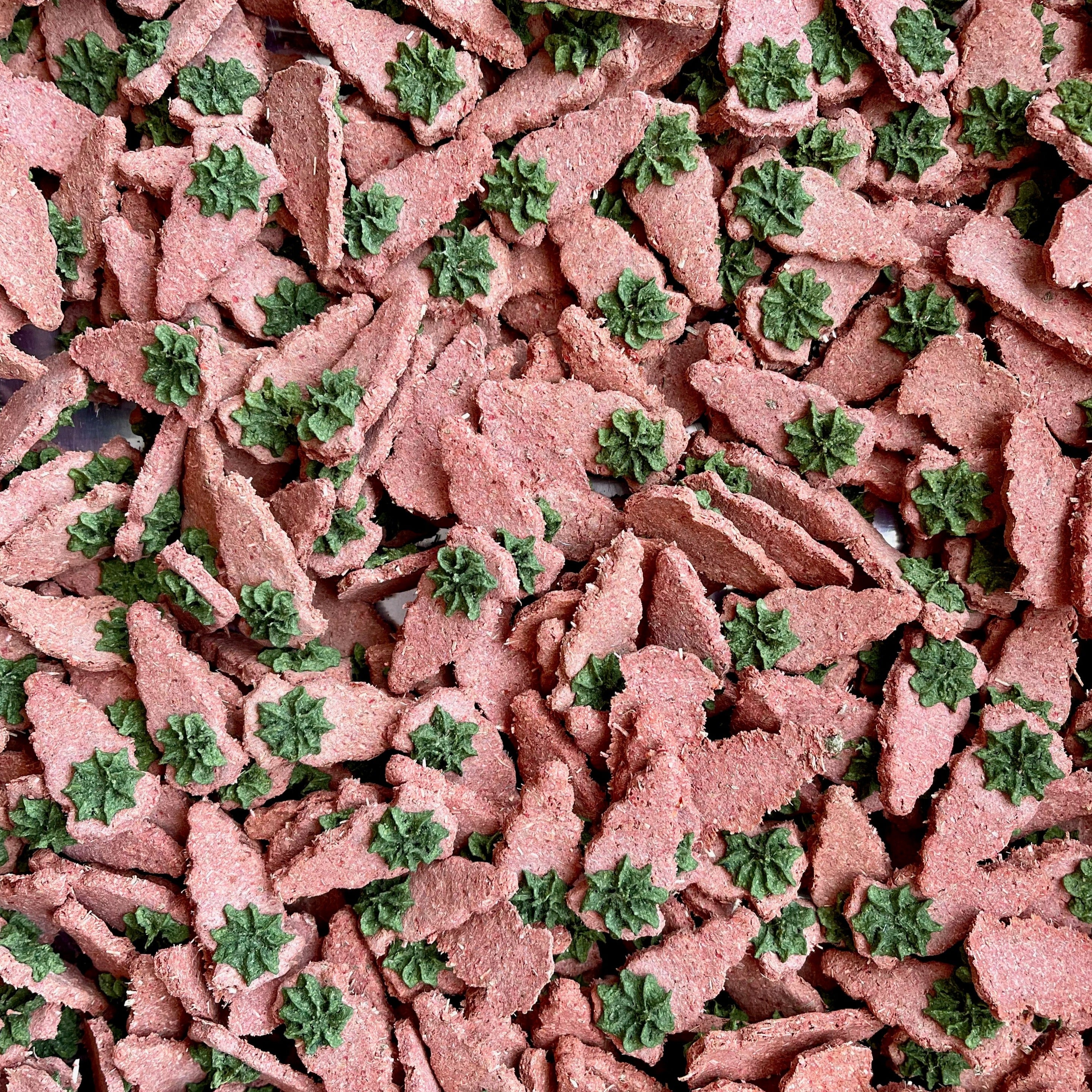 Carrot & Dill Digestives