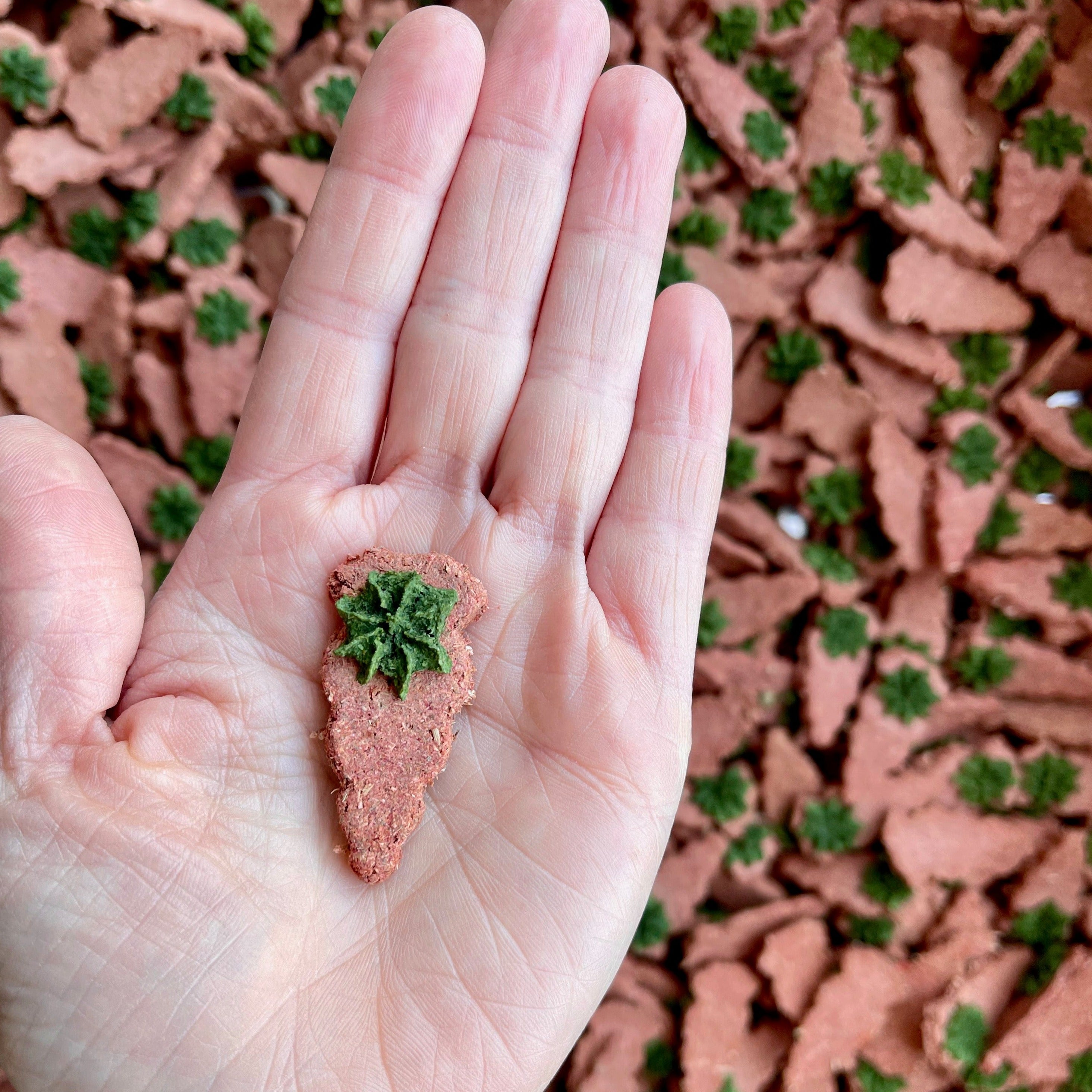 Carrot & Dill Digestives