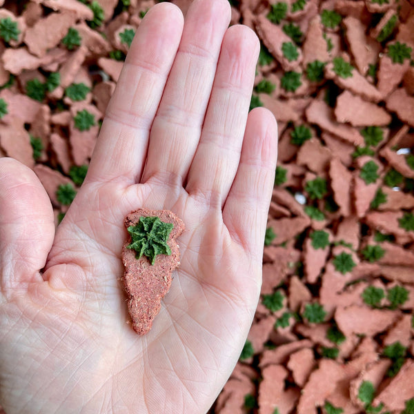 Carrot & Dill Digestives
