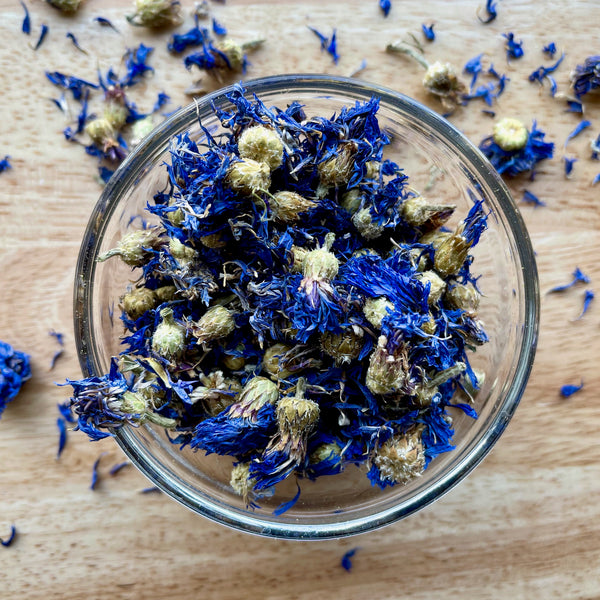 Cornflower