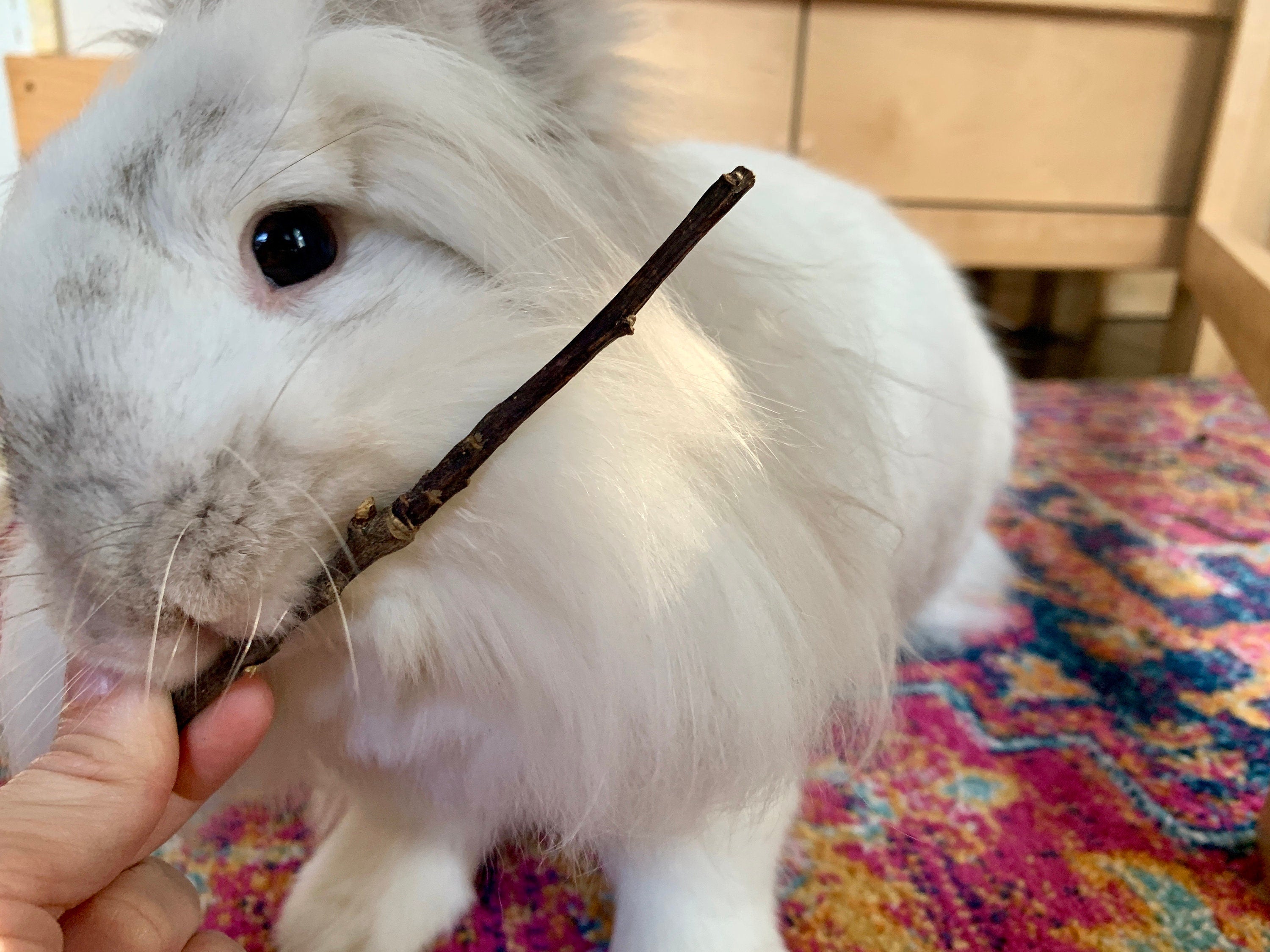 Organic Twig Bundles