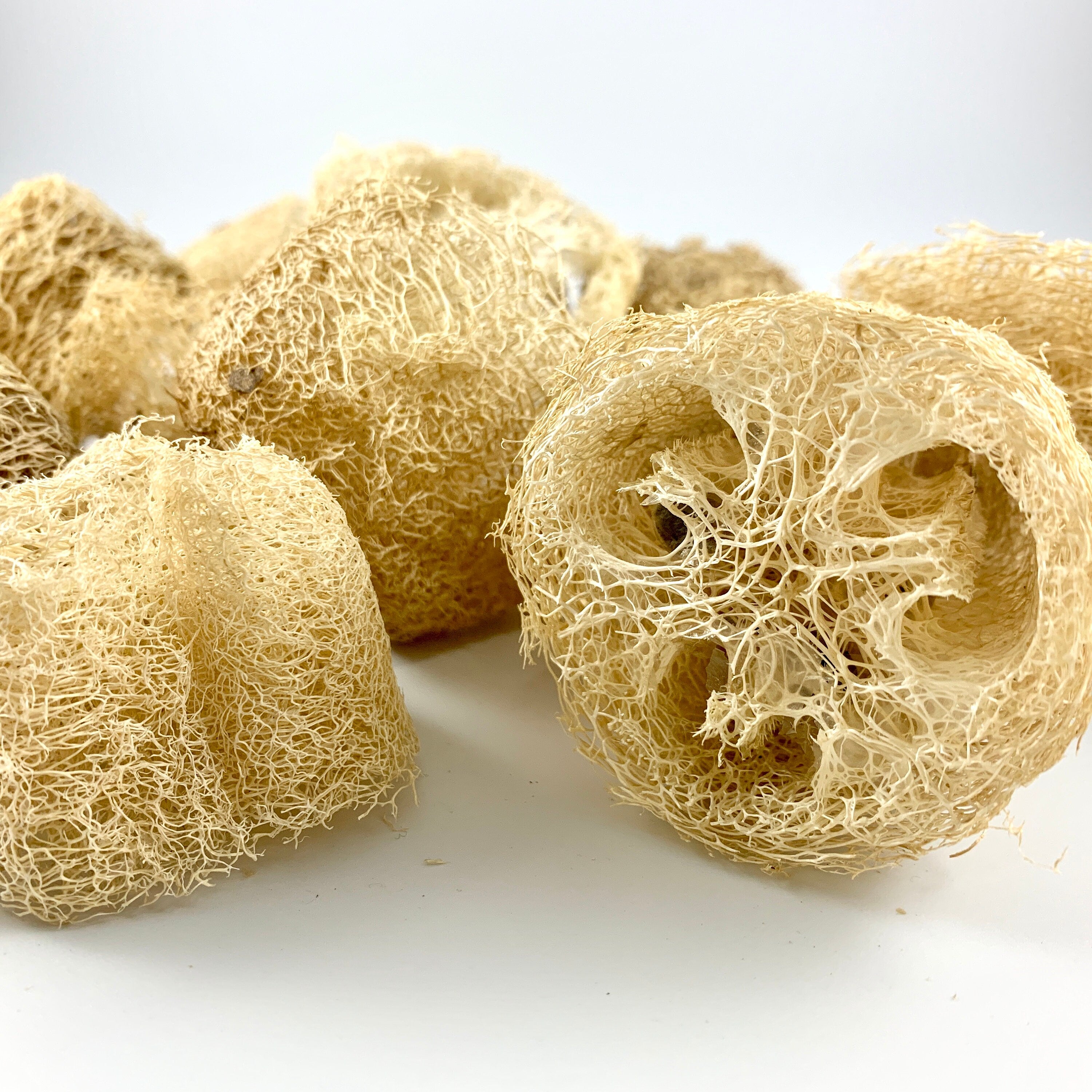 DISCOUNTED Loofah Bits & Bobs