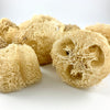 DISCOUNTED Loofah Bits & Bobs