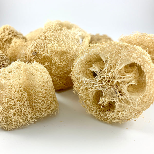 DISCOUNTED Loofah Bits & Bobs