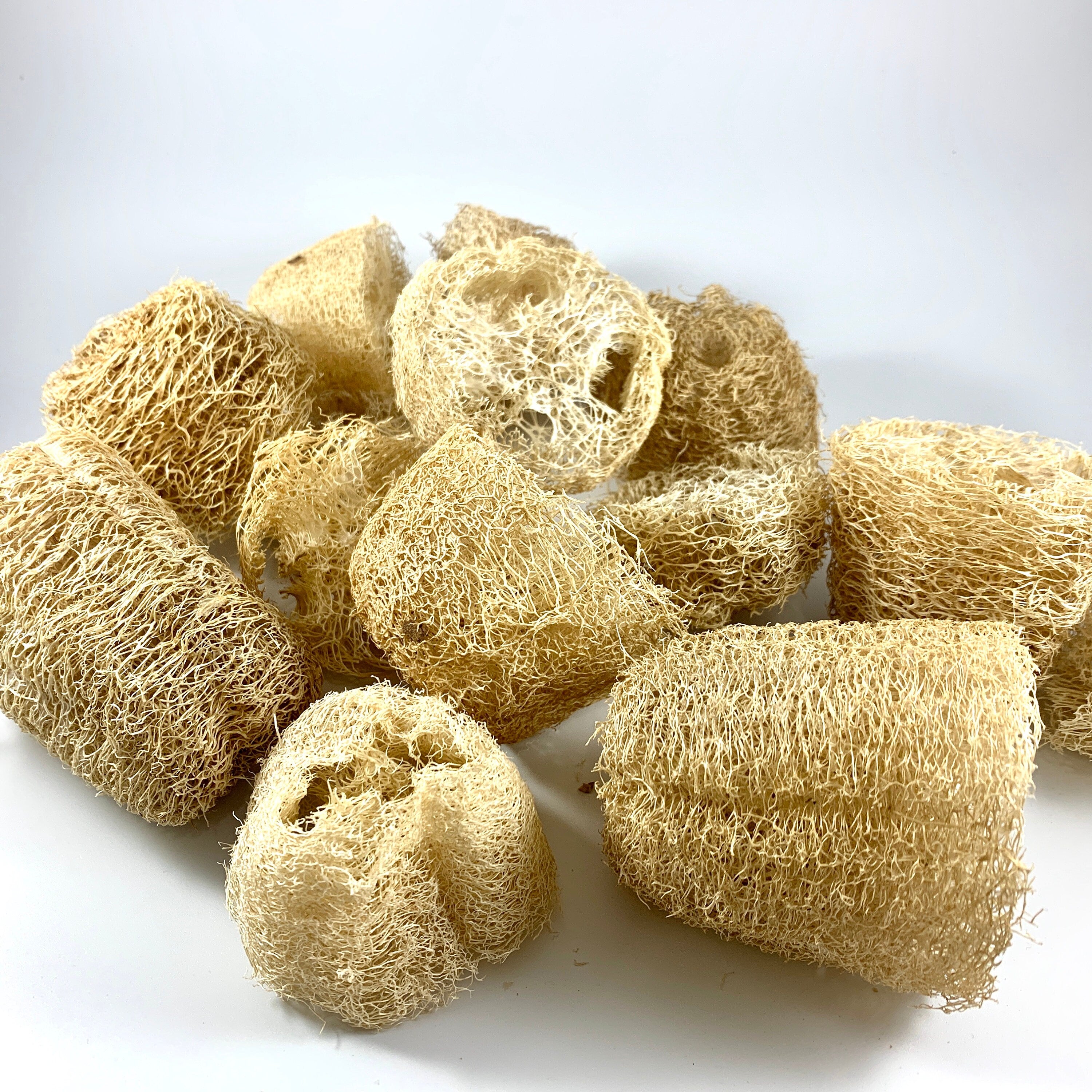 DISCOUNTED Loofah Bits & Bobs