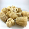 DISCOUNTED Loofah Bits & Bobs