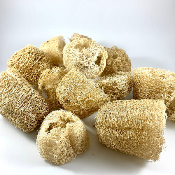 DISCOUNTED Loofah Bits & Bobs