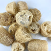 DISCOUNTED Loofah Bits & Bobs