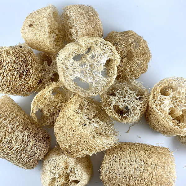 DISCOUNTED Loofah Bits & Bobs